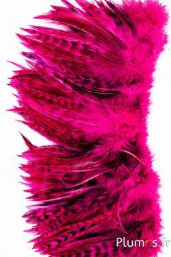 Franje haan - lengte veren 10-15 cm - fuchsia